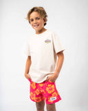 Boys Paragon T'Shirt - Stone