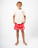 Boys Paragon T'Shirt - Stone