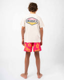 Boys Paragon T'Shirt - Stone